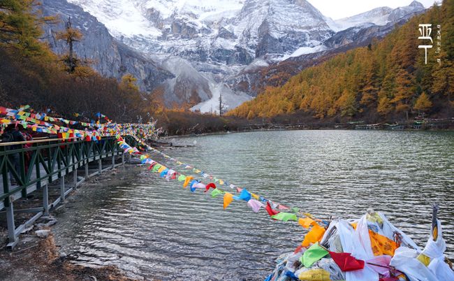 去四川旅游攻略及费用要多少钱,实游分享看这篇